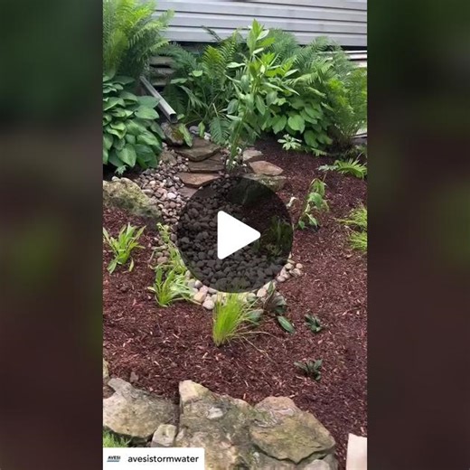 Build a Sustainable Rain Garden with These DIY Rainscaping Ideas