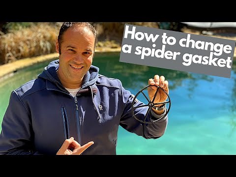 How to replace a spider gasket