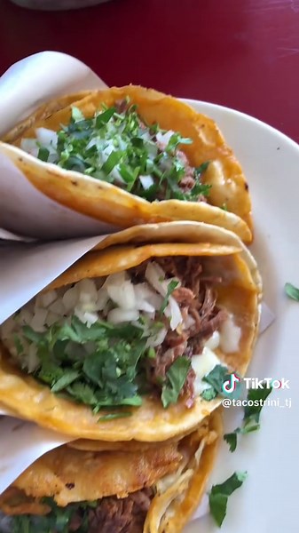 Tacostrini_TJ on TikTok