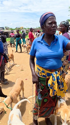 I Went to a Dog Meat Market in Nigeria, here’s What I Saw. Talking to the women #dogmarket #travel #people #documentary #simonarome | Simon Arome