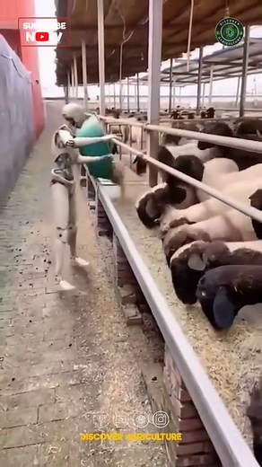 662K views · 55 reactions | Discover the future of farming with this...