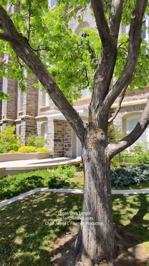 Hidden Gems: Unique Aspects of the Logan Utah TempleLDSTempleNews.com#LoganUtahTemple #LoganTemple