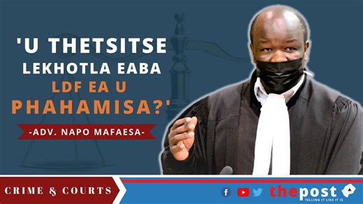 17K views · 314 reactions | The Post on Reels | Facebook