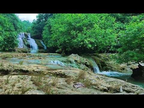 Relaxing Music with Water Sounds for Stress Relief 🌹 Relieve depression ,Water Spa Meditation