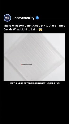 These House Windows Don't Just Open & Close. They Decide What Light Let In #technology #tech #shorts