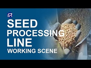 Seed Processing Line | Working Scene