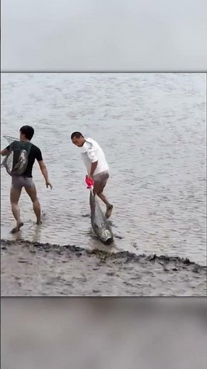 Fishing the Tide — Crazy Method, Amazing Results!