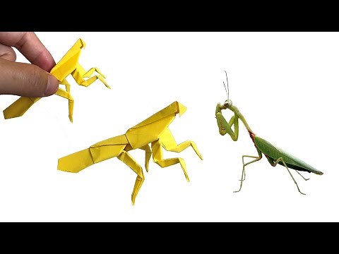 Easy Origami Mantis - How to make Paper Insect