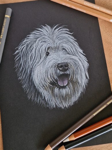 Dulux Dog: Old English Sheepdog Drawing Challenge
