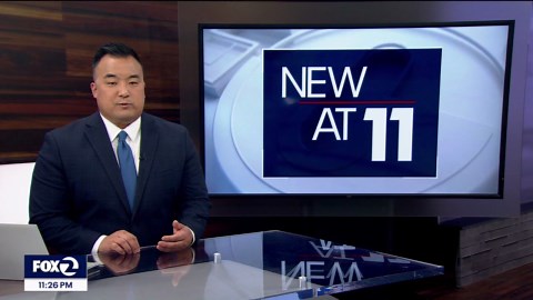 Small "wild" cats worldwide are threatened with extinction