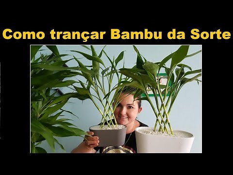 Como trançar Bambu da Sorte