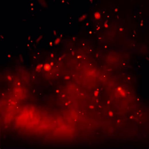 GODRERGRAIG ATHLETIC AFC on Instagram: "‼️Weekend Fixtures‼️ Our 1st Teams travels to @resolven.afc in the quarter finals of the division 3 cup ⚽️ Our Reserves face @coeddarcyfc third team home in the last game before the Christmas break All support is welcome 🔴⚪️⚫️"