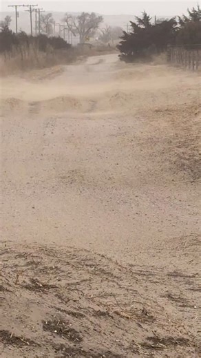 The wind is howling. The Dust and dirt are moving. Today is a day we want to just survive. Van Newkirk Herefords Oshkosh NE 308-778-6230 | Van Newkirk Herefords