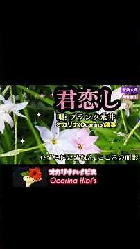 君恋し·Japanese Song·フランク永井·Shorts·No605·1937曲目· #オカリナ #カラオケ #歌ってみた#歌謡曲#奄美大島