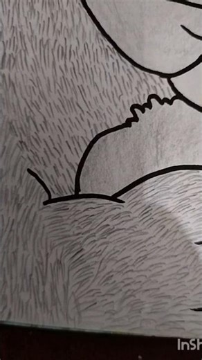 How to Draw a Bear (EASY)