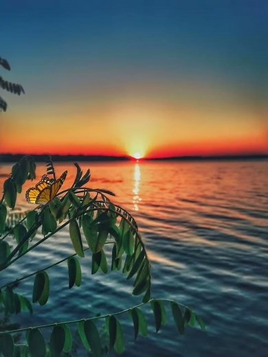 خلفية طبيعة للتصميم HD nature background