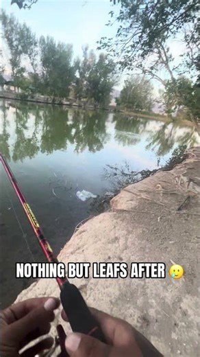 Smallmouth Bass EXPLODES out of the water! 🤯🎣