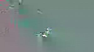 Strong winds wreaked havoc on Rathbun Lake Marina Saturday evening as a severe storm moved through the area. Video: Jeremy Skinner | Iowa Storm Chasing Network