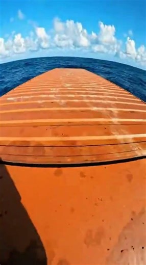 “We Opened the Shipping Container… Something Was Moving Inside.”