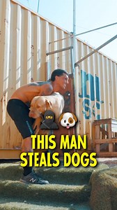 Meet the hero who warmed 8,000 hearts and countless souls.  Every wag, every bark, every tail wagging in gratitude tells a story of hope and compassion. Forever grateful for the selflessness that rescued not just dogs, but spirits too.  #UnsungHeroes #PawsOfGratitude #RescueLife #HeroicActs #Thedoghouseps | The Dog House Pet Salon - Galleria | Facebook