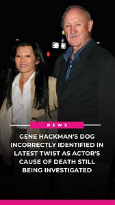 5.8K views · 4 comments | #GeneHackman's dead dog was incorrectly identified as the actor's cause of death is still being investigated. Link below for the latest details. (: MEGA) bit.ly/4hfyGsa | OK! Magazine | Facebook