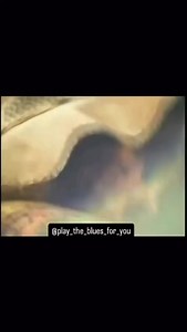 18K views · 1K reactions | Jethro Tull / We Used To Know (1970) Let's jump into our time machine and set the dials to the year 1970. We are at the Isle of Wight Festival in England . #jethrotull  | Alexandra Hendrix | Facebook