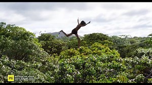 75K views · 204 reactions | Bring home the adventure of the year, now available on Blu-ray, DVD and Digital! | Walt Disney Studios | Facebook