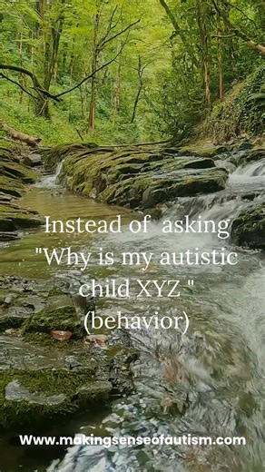 When your child does XYZ (behavior)… Instead of asking: “Why are they doing this?” Ask: “What does my child need so they don’t have to?” Small shift. Big change. | Making Sense of Autism LLC | Facebook