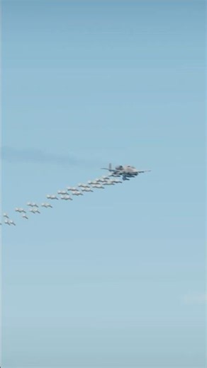 That moment the Warthog pilot drops absolutely everything.