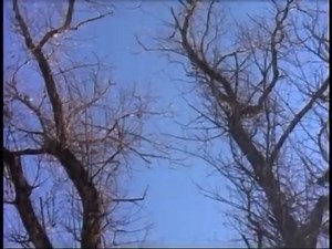 85K views · 2.7K reactions | The Cambodia  Episode #tourofduty #television #ramonfranco #actorslifestyle #vietnam #war #army #soldiers #military #service #heroes | Ramon Franco | Facebook