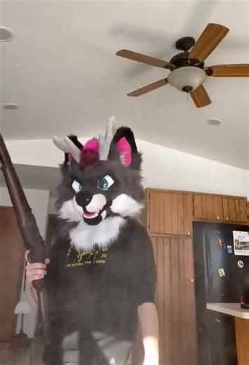 Anti-furries won't be able to explain this video. | Fursuits & Randoms
