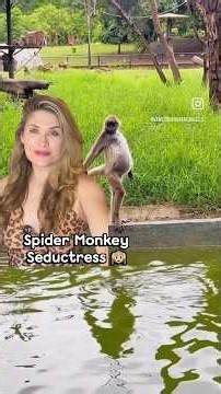 Behold! Meet this Spider Monkey Seductress!