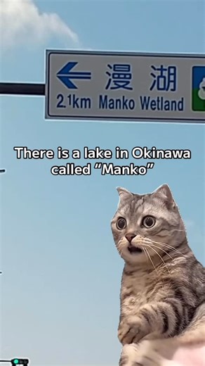 HiraganaNinja 日本語 by Mitsuo Sakamoto on Instagram: "Can I drink this water? #nihongo #japanese"