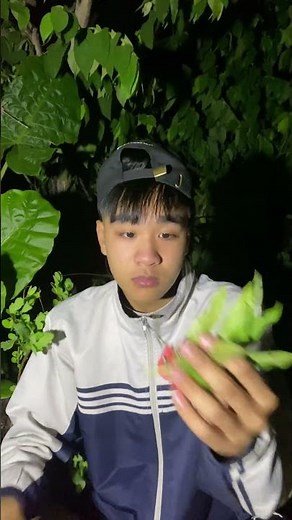 Survival Skills: Useful and Clever Outdoor Ideas 🔥🌲 #shorts #survival #outdoors #campfire