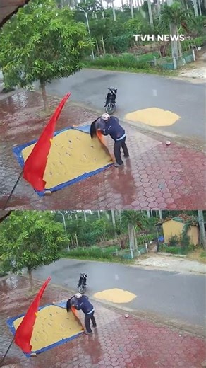 Đi ngang thôi nhưng “đi vào lòng người”: Trời mưa không có ai ở nhà may có anh trai chạy thóc giúp