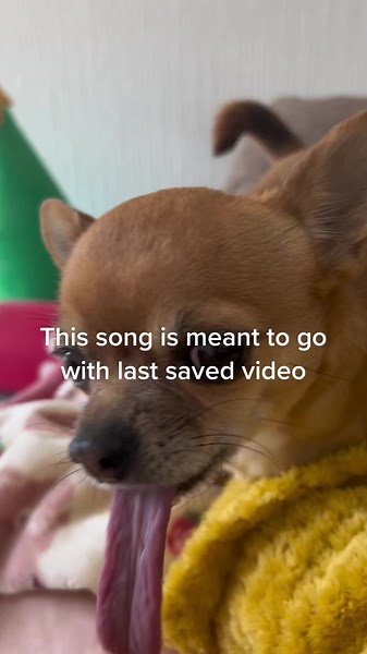 DevonBreeze (@devonbreeze)’s videos with sonido original - Shakira Lyrics