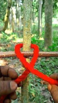 wow... great knot !!