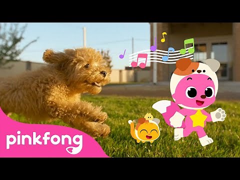 The Cutest Baby Dog! | Puppy Song | Pinkfong for Kids