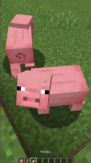 How to Breed Pigs in Minecraft