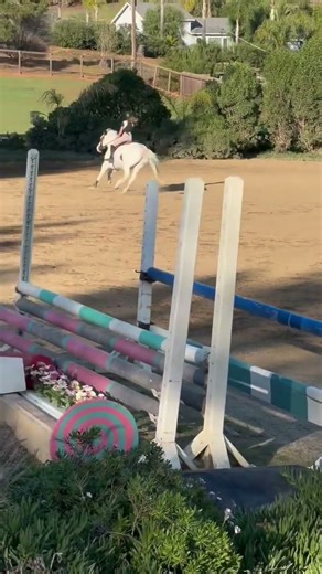 What a little rocket ship!!! #pony #horse #horseriding #equestrian #horsejumping