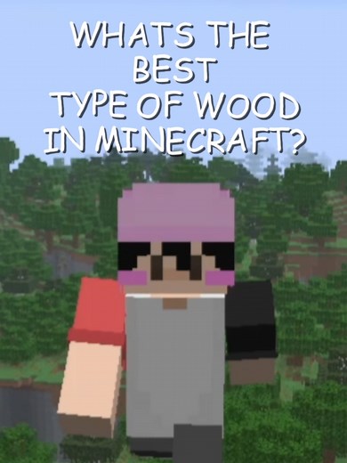 WHAT IS THE BEST TYPE OF WOOD IN MINECRAFT? (BLADEAGAIN EDITION) #minecraft #minecraftmemes #gaming #fyp #camman18 art featured in video is by my good ol pal @jeanster._ go comm her or sum