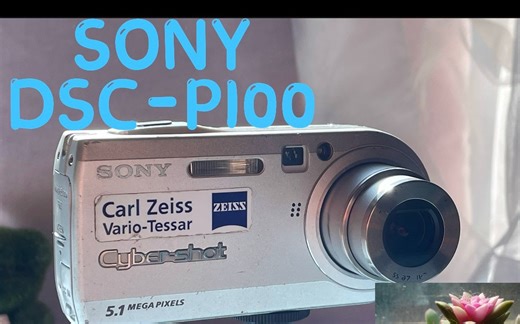 2004年百元索尼CCD相机DSC-P100使用指南以及样片