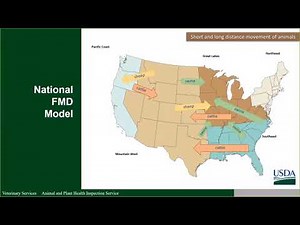 Epidemiologic Modeling for the use of FMD Vaccine in an Outbreak (April 9, 2020)