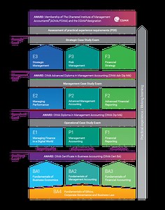 CIMA® Professional Qualification | Alpha Bright Learning