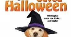 The Dog Who Saved Halloween (2011)  - Ver Película Completa en Español - FULLTV