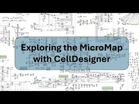 MicroMap Exploration with CellDesigner