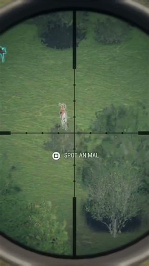 Springbok hunting is my only vice!