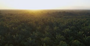 Video by Mikhail Nilov on Pexels