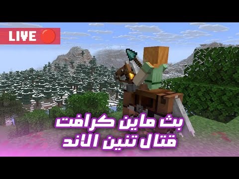بث مباشر | ماين كرفت قتال التنين 💀
