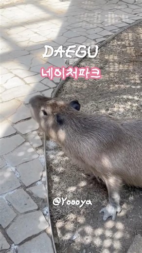 대구 실내 동물원 네이처파크 아이들과 가기좋은곳